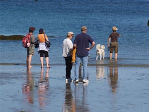 Seaside Writing Workshop/Retreat