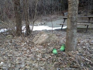 shoes in the woods